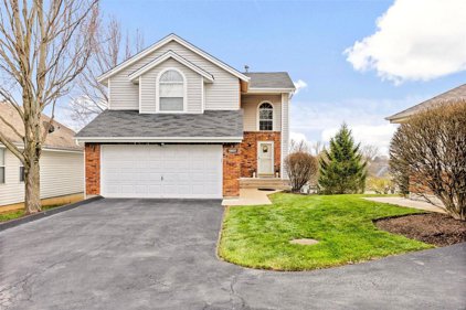 13027 Midfield Terrace, St Louis