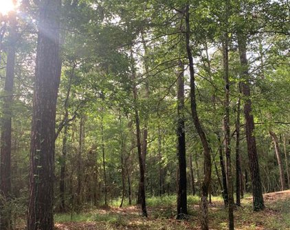 15541 Republic Park Trail, Willis