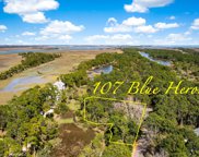 107 Blue Heron Pond Road, Kiawah Island image