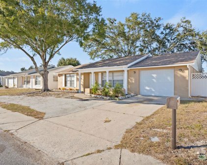 7351 Nova Scotia Drive, Port Richey