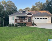 893 Country Road, Warrior image