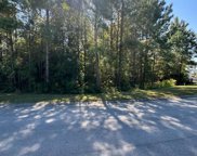 271 Twining Rose Lane, Holly Ridge image