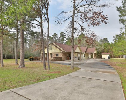 912 Tall Pines Dr Drive, Magnolia