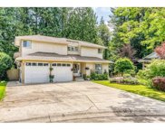 11804 249th Street, Maple Ridge image