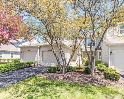 1229 Rhodes Lane, Naperville