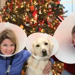 XmasConeofShame