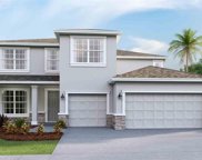 23281 Scaglione Drive, Lutz image