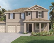 542 Shaelyn Place, Deland image