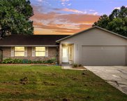 3050 Tanager Lane E, Mulberry image