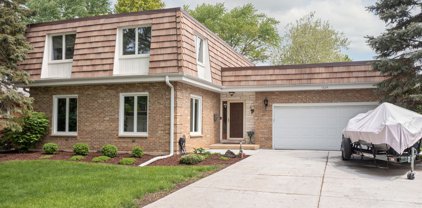 1024 Charlene Lane, Schaumburg