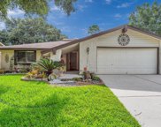 10423 Rancho Bernardo Lane, Sugar Land image