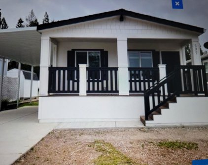137 Primrose Avenue, Auburn