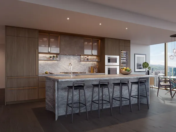 Victoria Place kitchen, dark palette