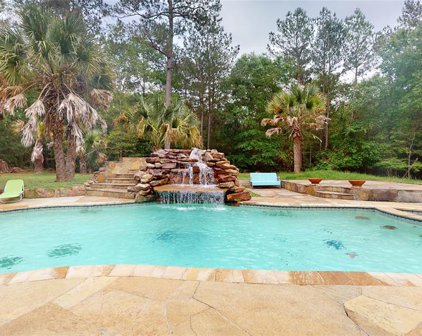 29816 Riley Rd Road, Waller