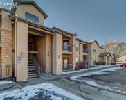 605 Cougar Bluff Point Unit 106, Colorado Springs image