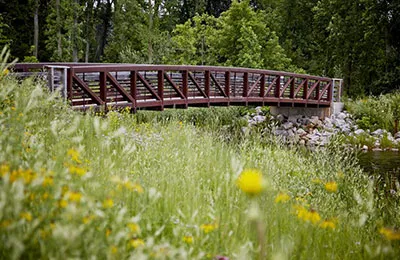 elm grove park
