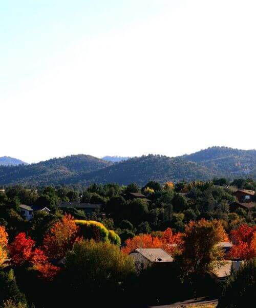 Subdivision Search