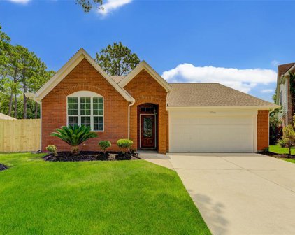 7706 View Park Lane, Houston