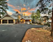 575 County Road 253, Durango image