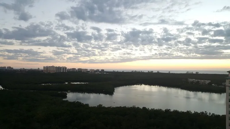 Caribe at Cove Towers Condos For Sale Naples Florida