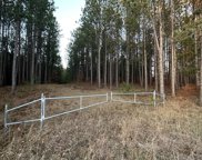 Townline Road Unit Parcel  C & D, Grayling image