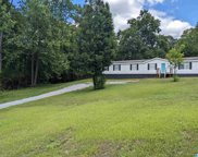 9433 Old Tennessee Pike Road, Pinson image