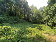 BRIARWOOD RD, Webster image