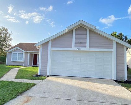 7239 Gray Shadow Court, Orlando