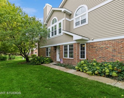 368 W Happfield Drive, Arlington Heights