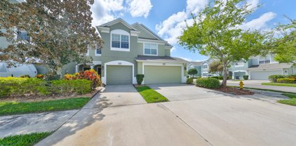 10205 Red Currant Court, Riverview