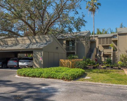 224 Woodland Drive, Osprey