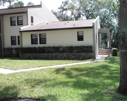 1000 Tarpon Woods Boulevard Unit 801, Palm Harbor