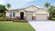 32166 Conchshell Sail Street, Wesley Chapel image