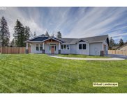 110 Marin AVE, Castle Rock image