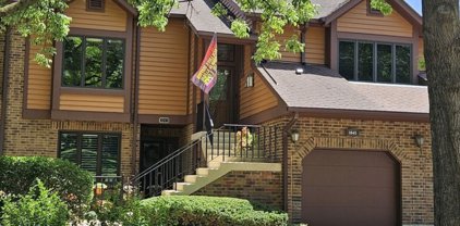 1047 Braemoor Drive Unit #1047-B, Downers Grove
