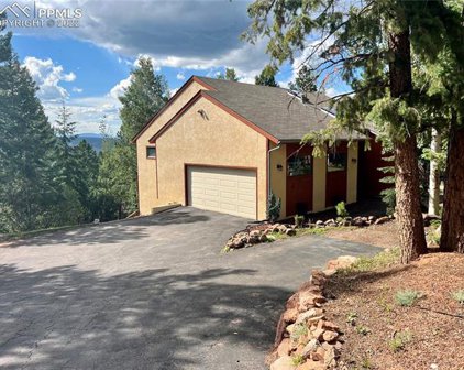 1380 Forest Edge Road, Woodland Park