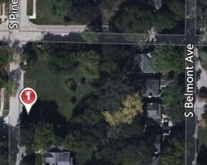 419 S Pine Avenue, Arlington Heights