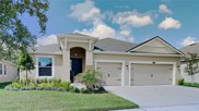 12949 Satin Lily Drive, Riverview image