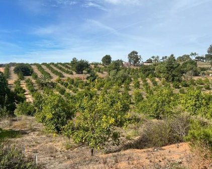Birdsong Ranch, Escondido