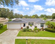 103 Timberview Drive, Safety Harbor image