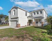 13520 Copper Head Drive, Riverview image