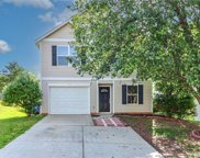 113 Daventry  Place, Mooresville image