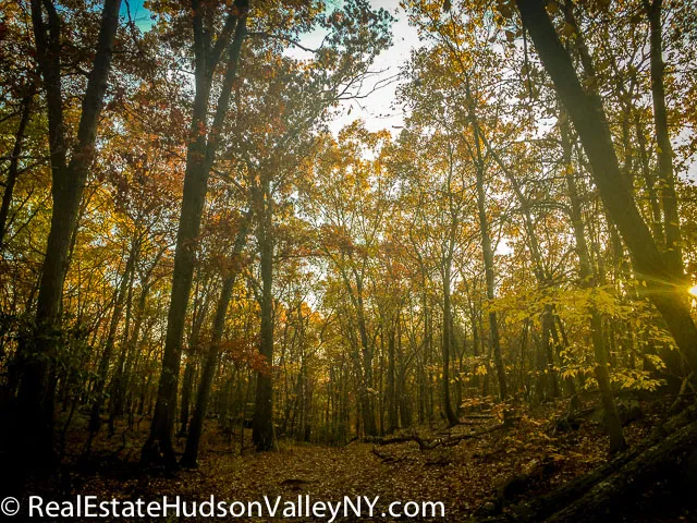 Turkey Hill Mountain