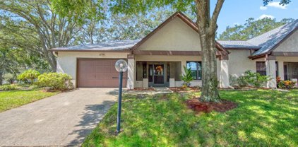1406 Pheasant Creek Drive, Palm Harbor