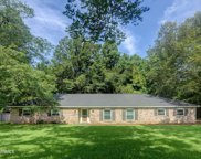 5733 Pine Springs Road, Meridian image
