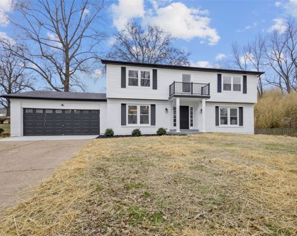14321 Millchester  Circle, Chesterfield