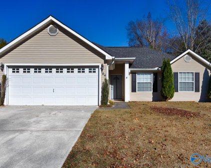 104 Nw Cypress Creek Drive, Madison