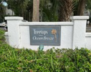 137 Cordillo Parkway Unit 4002, Hilton Head Island image