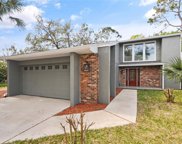 110 Little Wekiva Court, Longwood image