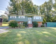 305 Lily Street, Greenville image
